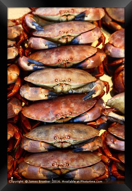 Edible Crabs Stacked up on Market Stall Framed Print by James Brunker