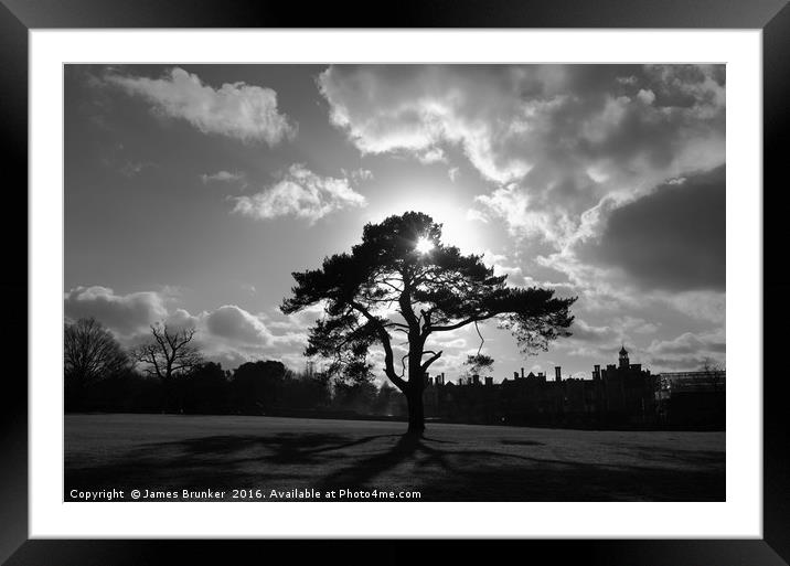 Tree Silhouette and Shadows Knole Park Sevenoaks Framed Mounted Print by James Brunker
