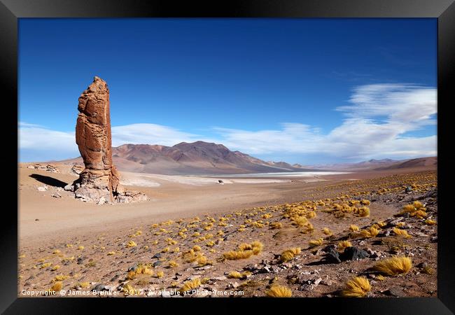 Moai de Tara and Salar de Aguas Calientes Chile Framed Print by James Brunker