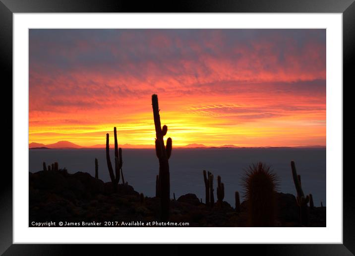 Giant Cacti at Sunset Salar de Uyuni Bolivia Framed Mounted Print by James Brunker
