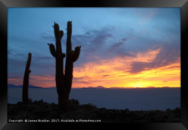 Giant Cactus at Sunset Salar de Uyuni Bolivia Framed Print by James Brunker