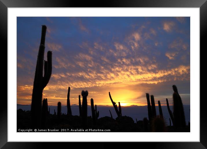 Cacti at Sunset on Incahuasi Island Salar de Uyuni Framed Mounted Print by James Brunker