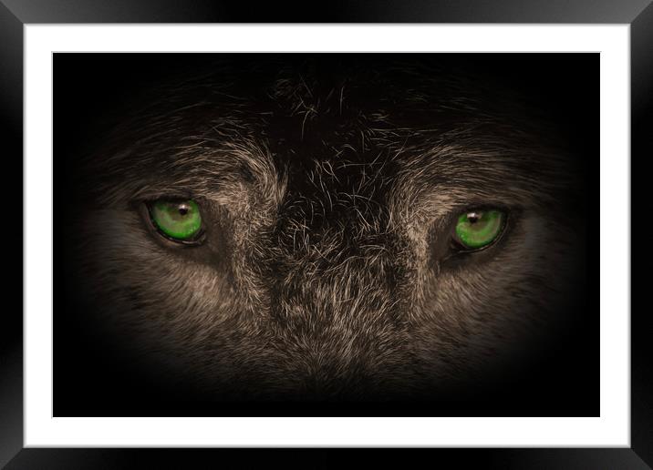Those Eyes Framed Mounted Print by Carl Brownell