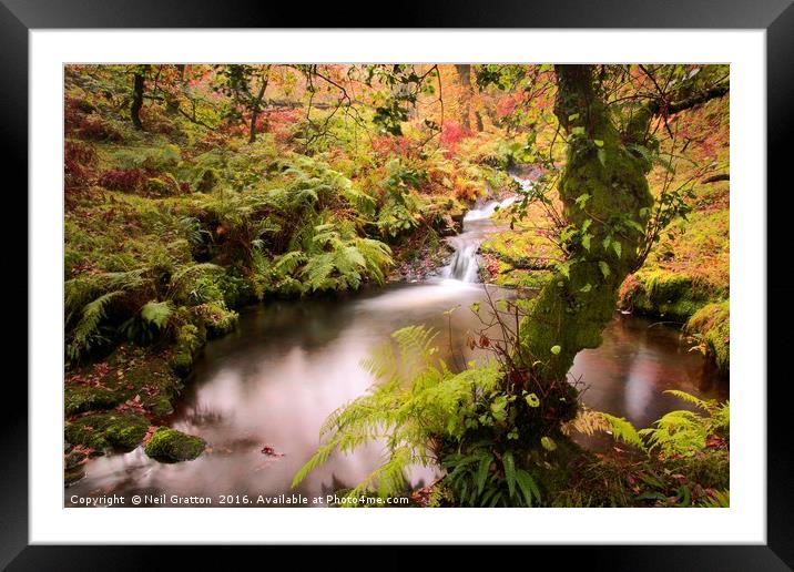 Venford Brook Framed Mounted Print by Nymm Gratton