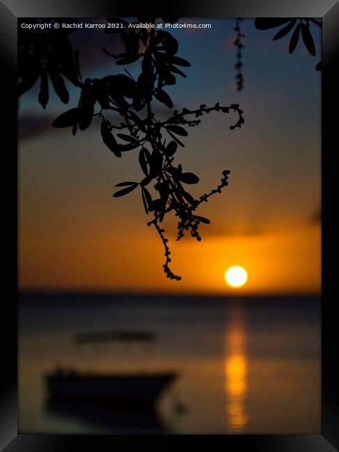 Silhouette of branch with sunset at the back Framed Print by Rachid Karroo