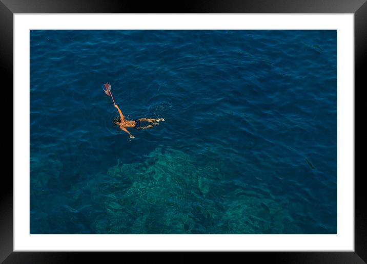 Diving Framed Mounted Print by Ranko Dokmanovic
