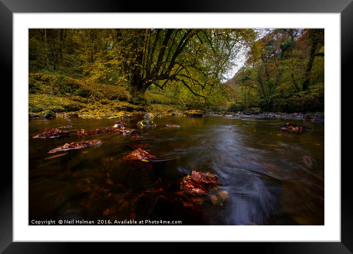 Autumn on Nedd Fechan River, Pontneddfechan Framed Mounted Print by Neil Holman