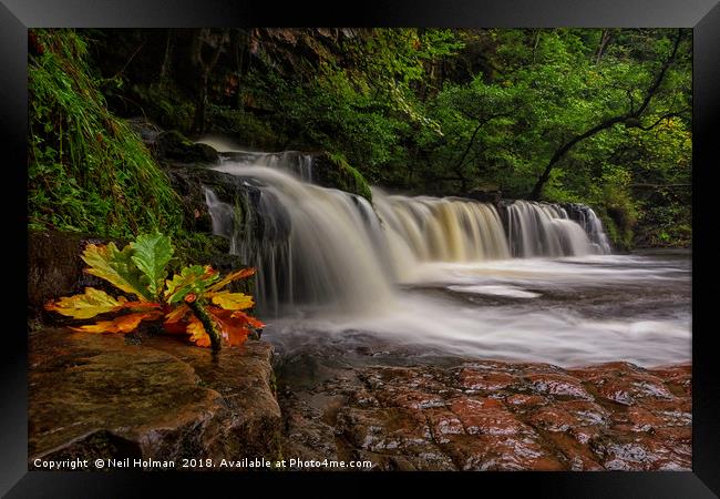 Lower Dwili Waterfall, Pontneddfechan Framed Print by Neil Holman