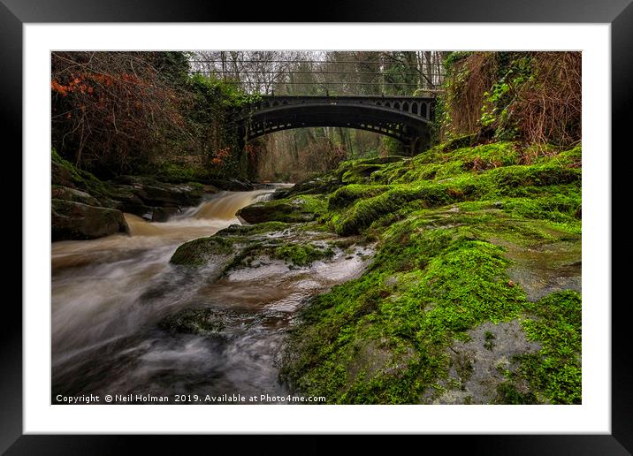 Clydach Gorge Iron Bridge Framed Mounted Print by Neil Holman