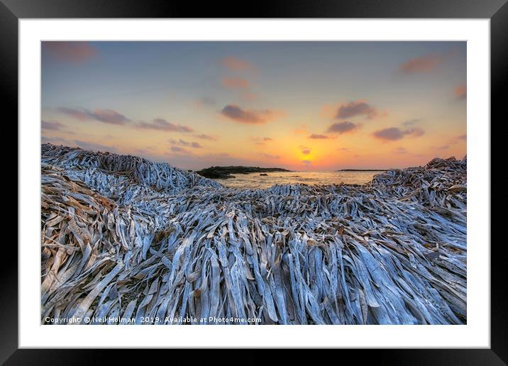 Seaweed Sunset, Paphos Cyprus Framed Mounted Print by Neil Holman