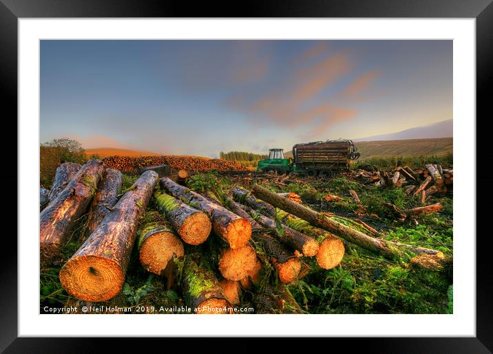 Sunrise at the Forestry Commission, Ystradfellte Framed Mounted Print by Neil Holman