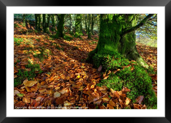 Autumn Greens and Browns Framed Mounted Print by Neil Holman