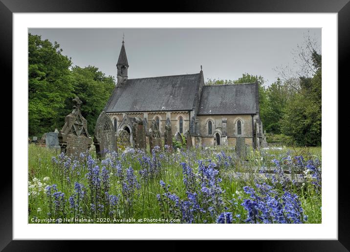 Bluebells at St Teilo’s Church, Merthyr Mawr Framed Mounted Print by Neil Holman