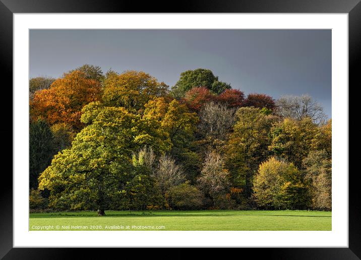 Autumn Colours Framed Mounted Print by Neil Holman