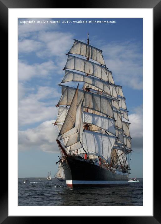 Russian Tall Ship STS Sedov Falmouth Race 2008 Framed Mounted Print by Elvia Worrall