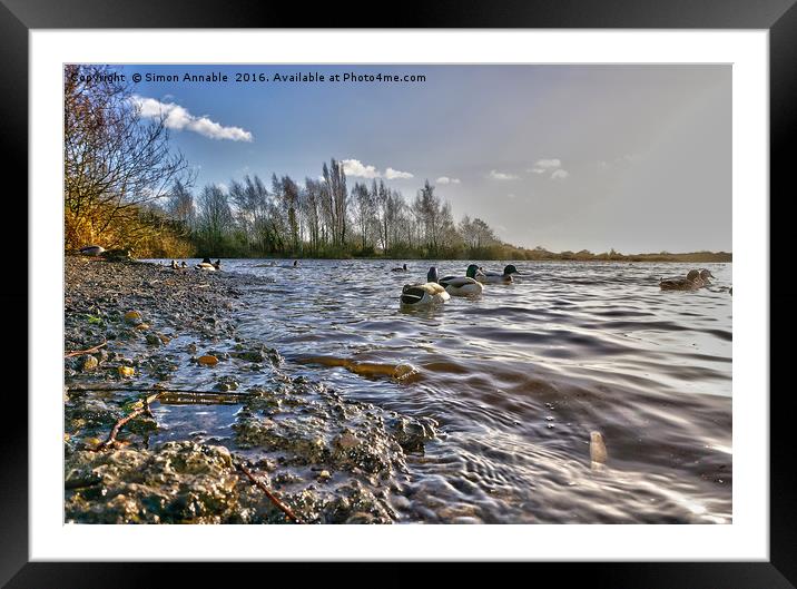 Low Level Lake View Framed Mounted Print by Simon Annable