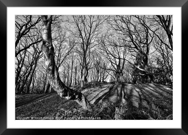 Monochrome Trees Framed Mounted Print by Simon Annable