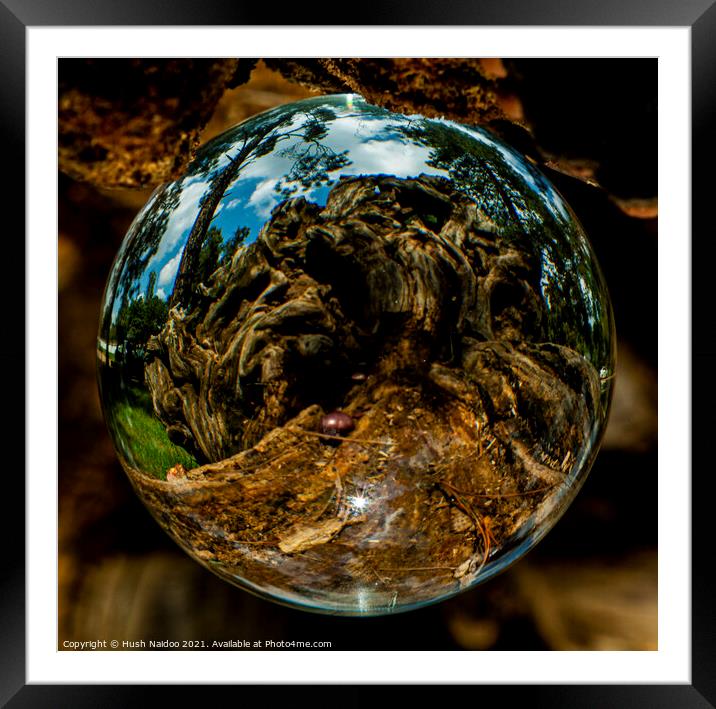 Lensball Framed Mounted Print by Hush Naidoo