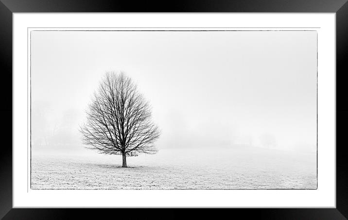 Tree in the Mist Framed Mounted Print by Stuart Chapman