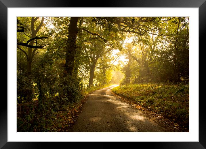 a quiet country lane Framed Mounted Print by Caroline Burton