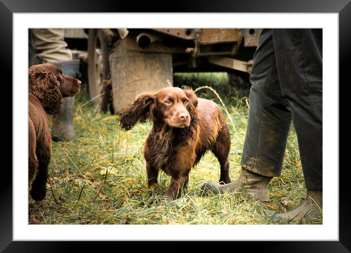 ready to go Framed Mounted Print by Caroline Burton