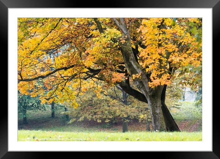Autumn vibes, Preston Framed Mounted Print by Caroline James