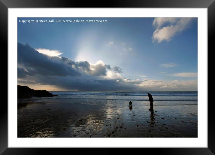 Dog walking on Caswell beach in winter Framed Mounted Print by steve ball