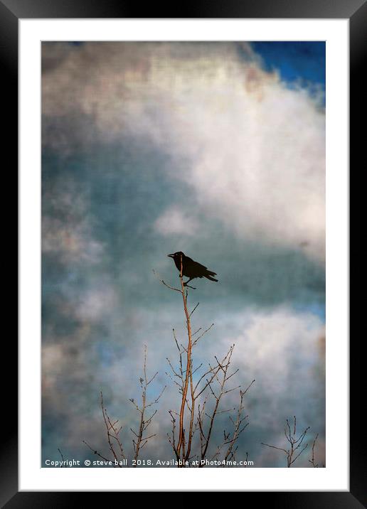 Crow Tree Framed Mounted Print by steve ball