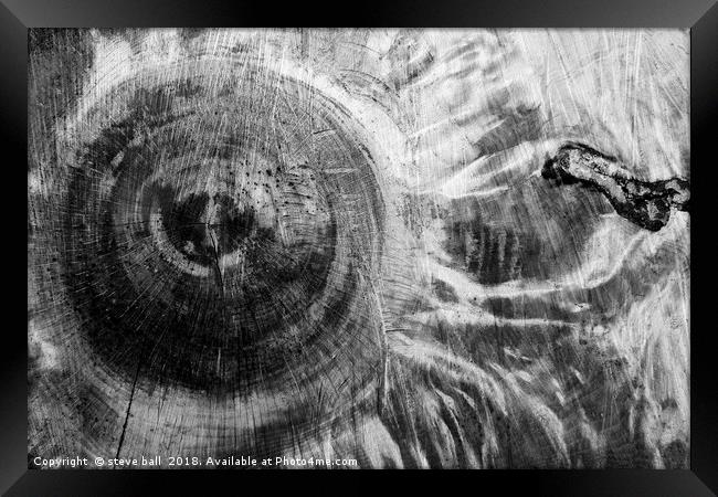 Tree cut Framed Print by steve ball