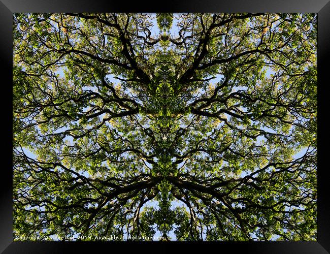 Mirror image trees Framed Print by steve ball