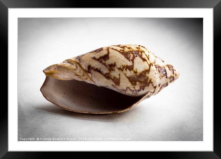 An empty sea snail shell  Framed Mounted Print by Ksenija Bozenko Stojan