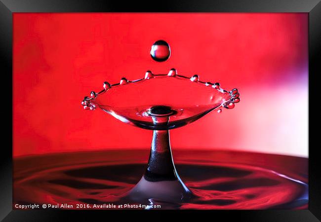 water drop Framed Print by Paul Allen