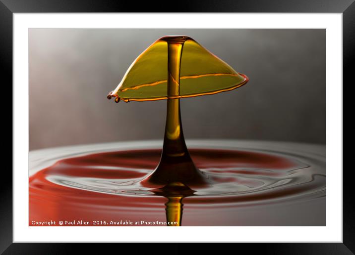 golden water drop Framed Mounted Print by Paul Allen