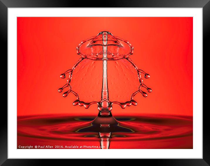 mirror image  Framed Mounted Print by Paul Allen