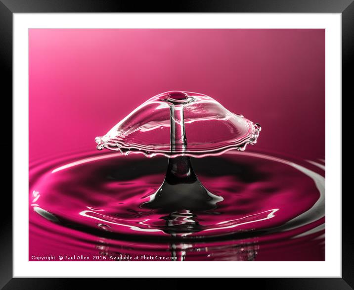 water drop collision in purple Framed Mounted Print by Paul Allen