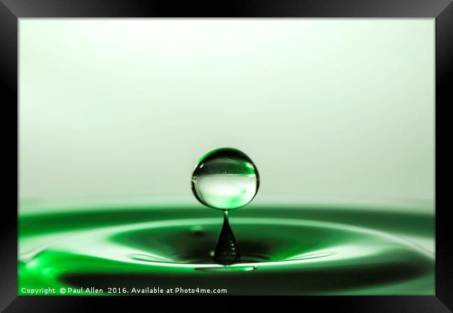 Little green water drop Framed Print by Paul Allen