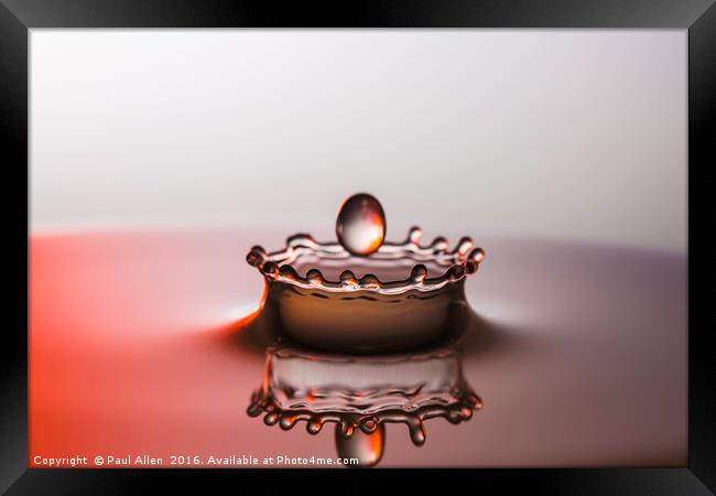 water droplet entering the crown Framed Print by Paul Allen