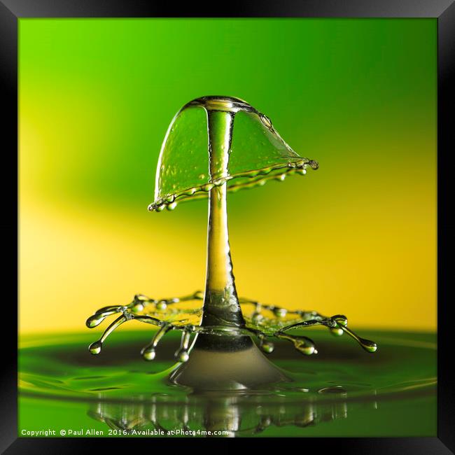 A double water drop collision Framed Print by Paul Allen