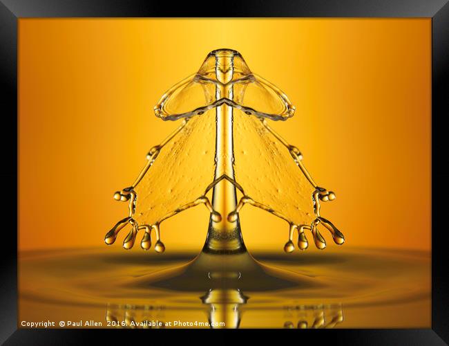 golden water drop symmetry Framed Print by Paul Allen
