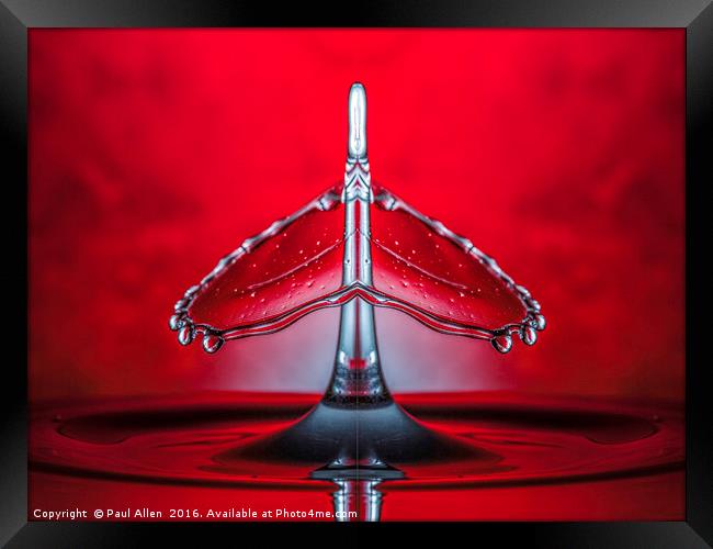 a mirrored image of a water drop collision Framed Print by Paul Allen