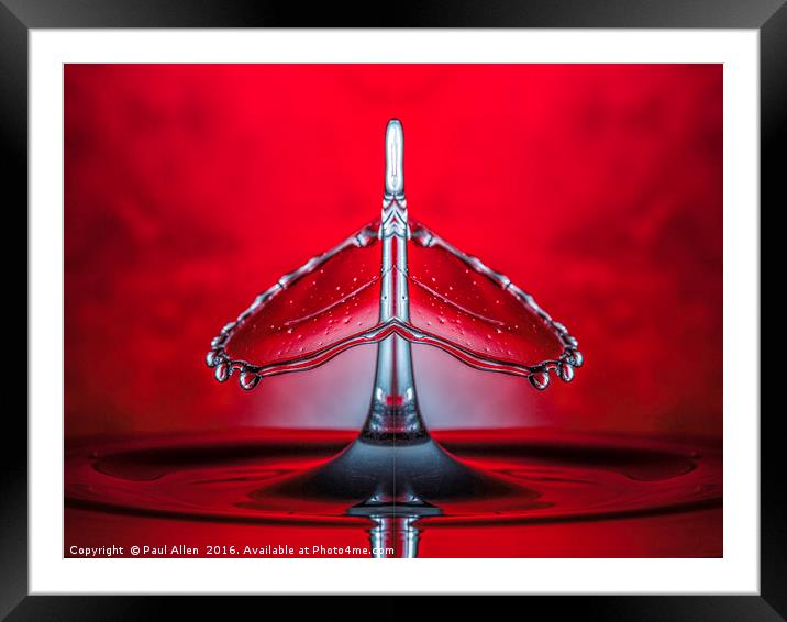 a mirrored image of a water drop collision Framed Mounted Print by Paul Allen