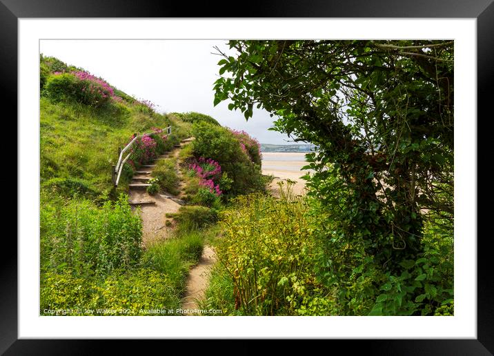 Sand dunes Framed Mounted Print by Joy Walker