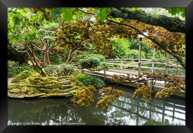 Japanese garden Framed Print by Joy Walker