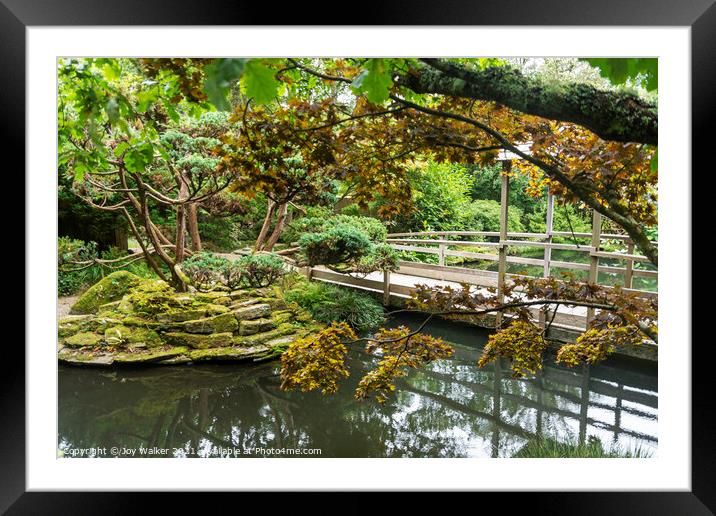 Japanese garden Framed Mounted Print by Joy Walker