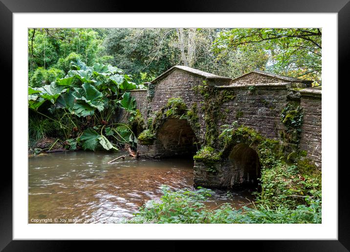 Bridge over the river Avill, Somerset, UK Framed Mounted Print by Joy Walker