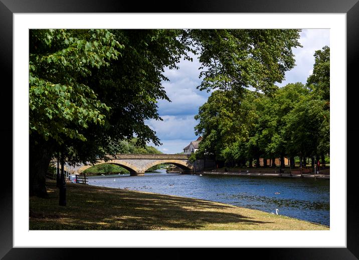 Evesham bridge and riverside walk, Worcestershire, Framed Mounted Print by Joy Walker