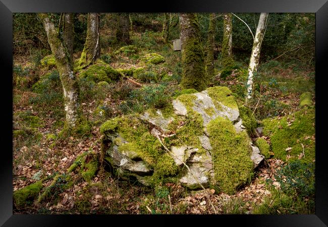 A large stone Framed Print by Joy Walker