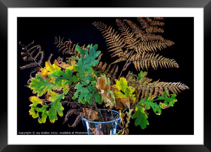 Plant leaves Framed Mounted Print by Joy Walker