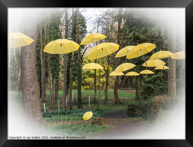 Hanging umbrellas Framed Print by Joy Walker