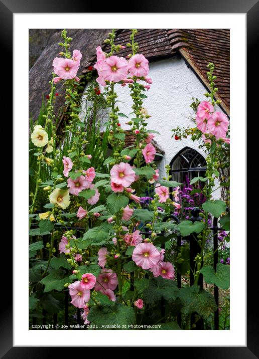 A thatched cottage with Hollyhock flowers  Framed Mounted Print by Joy Walker